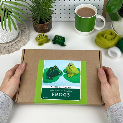 Frown-y Face Frogs Needle Felting Craft Kit For Adults