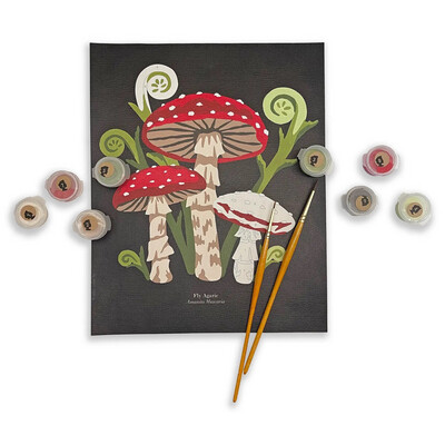 Mushroom Paint by Number Kit