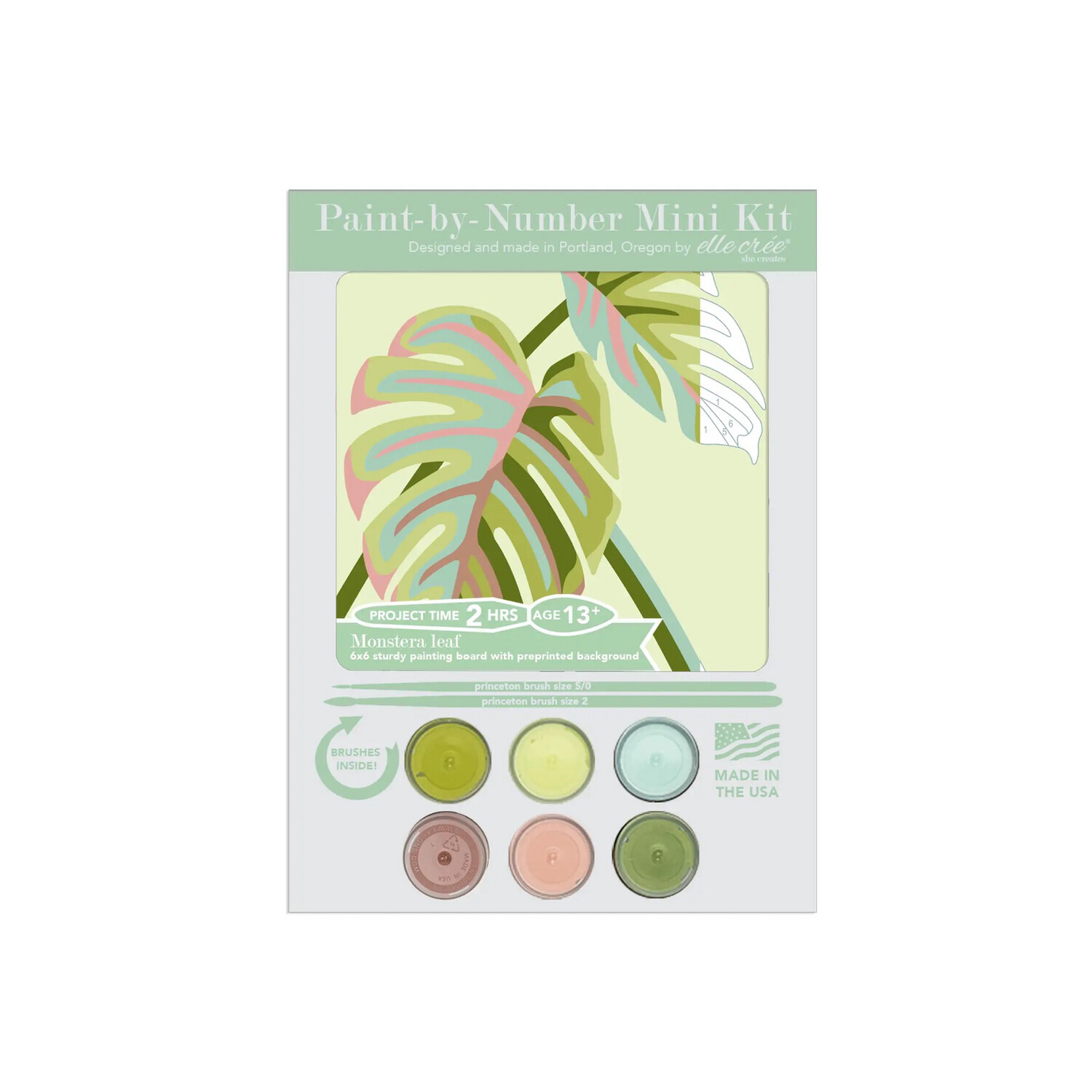 Monstera Leaves MINI Paint by Number Kit