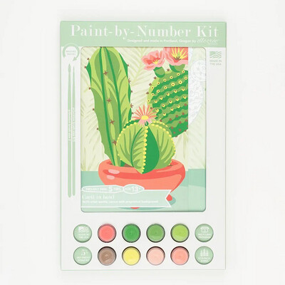 Cacti Bowl Paint by Number Kit
