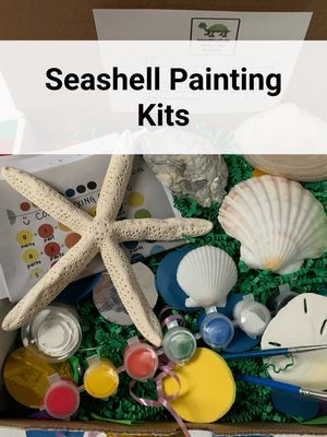 Seashell Painting Kits