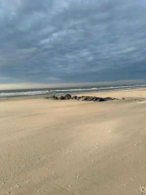 Summer in Stone Harbor and Avalon: Creating Memories at the Jersey Shore