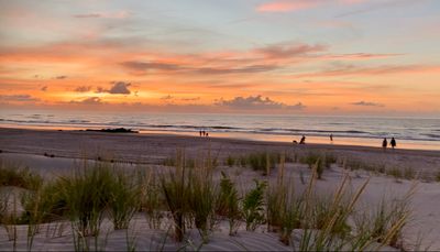 Rainy Day at the Jersey Shore? Here Are the Best Things to Do in Stone Harbor and Avalon
