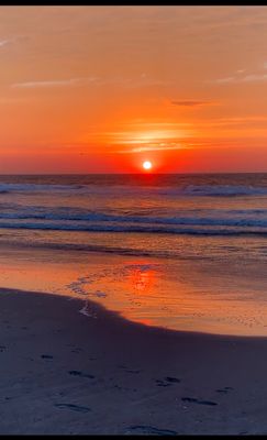 Why Families from Philadelphia, South Jersey, and Beyond Love Visiting Stone Harbor, NJ