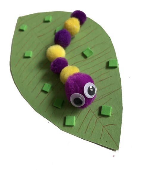 Caterpillar and Butterfly Pack!