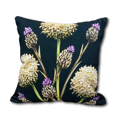 Thistle Pillow Cover (18" x 18")