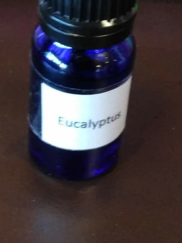 Eucalyptus essential oil