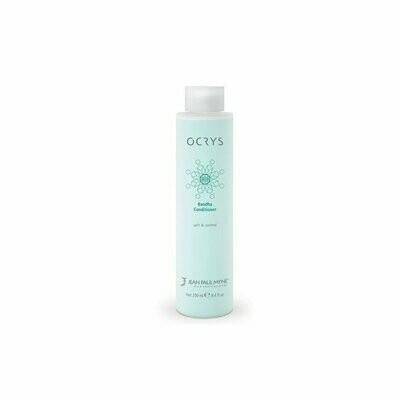 BANDHA CONDITIONER CAPELLI LISCI 250 ML