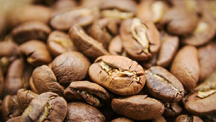 Arabica Nicaragua