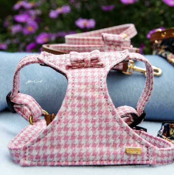 Pepita Pink Harness Stock