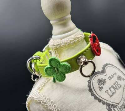 Gordon collar 25cm - Stock