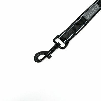 ONE leash