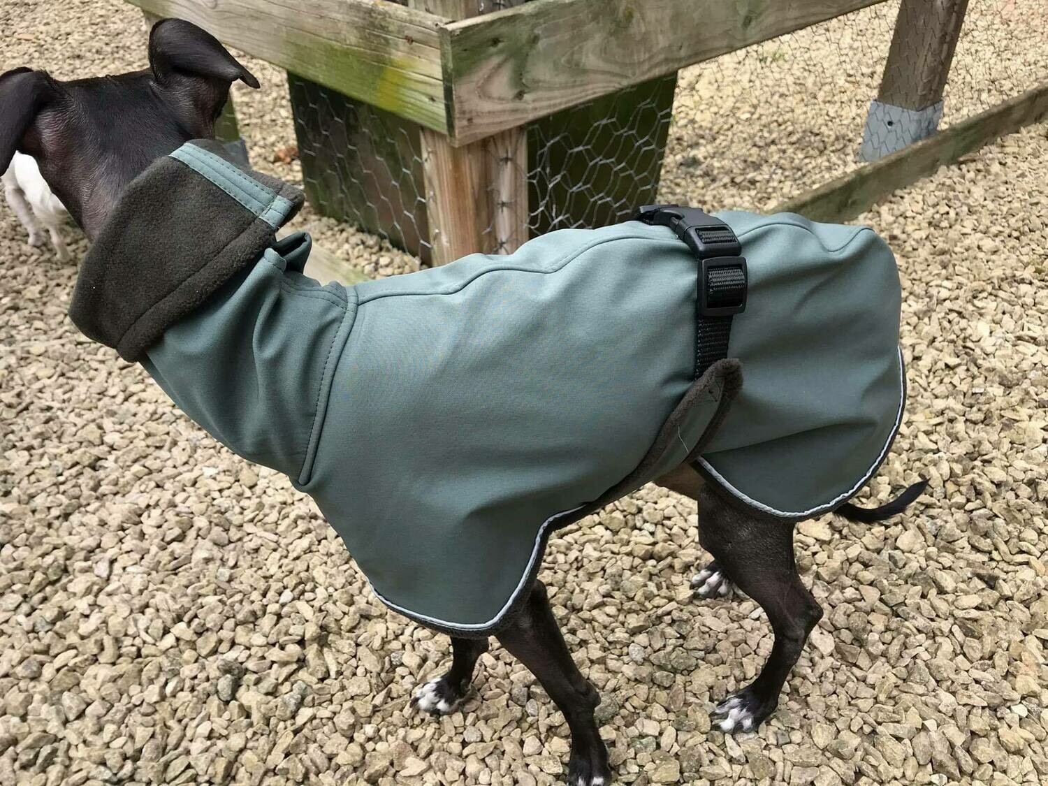 Magic Raincoat Sighthound
