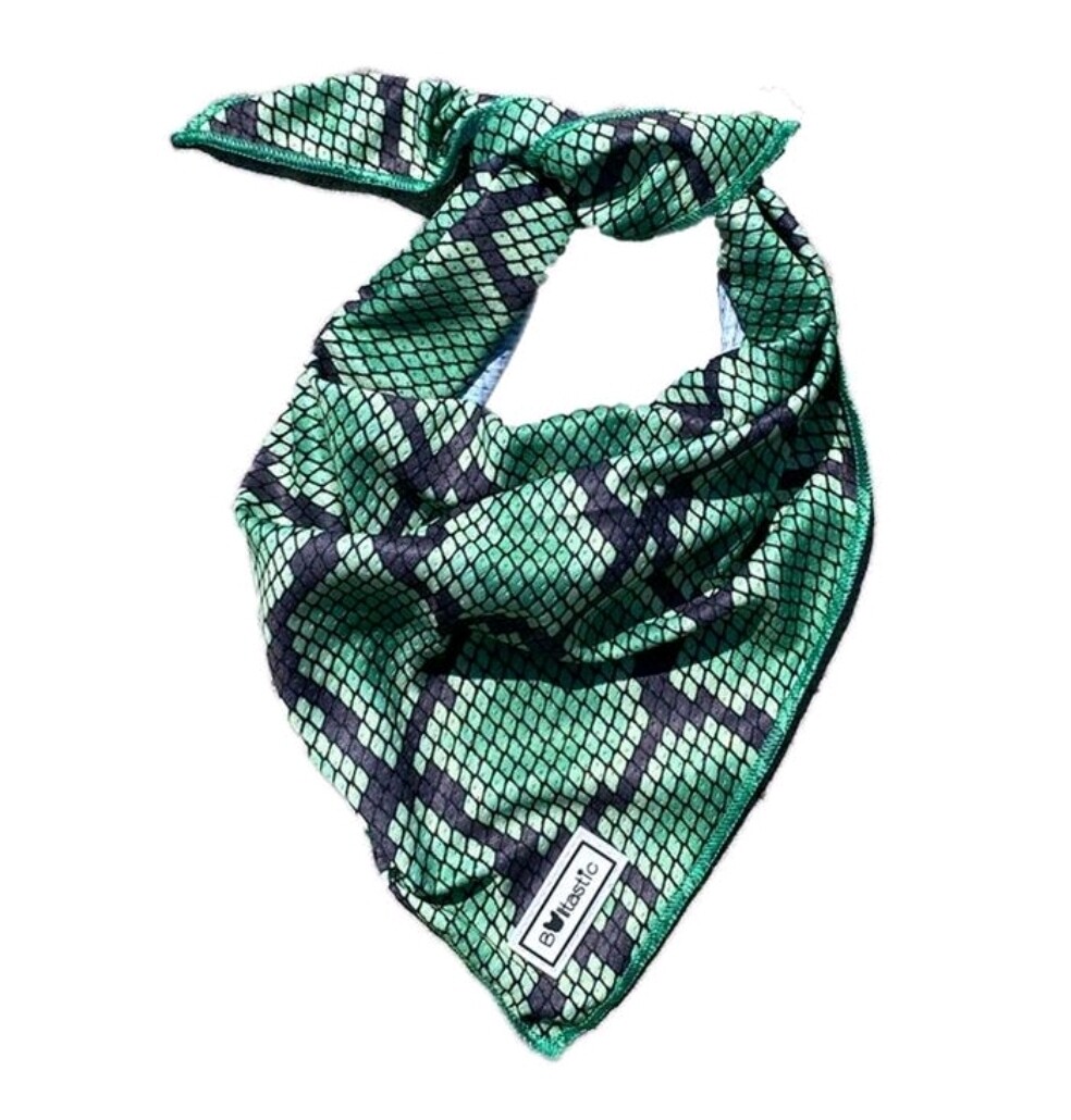 Bandana Green snake Bandana Green snake