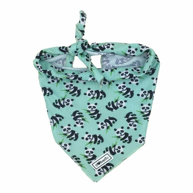 Bandana Pandana
