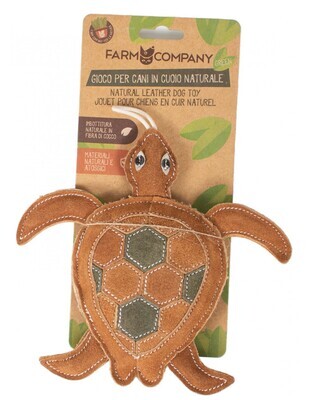 Turtle Natural Toys