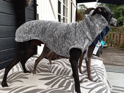 Weicher, graufarbener pullover für Windhunde - Stock