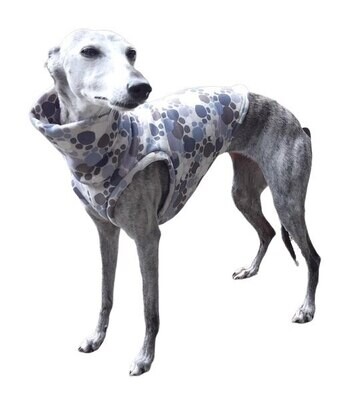T-Shirt pootjes voor windhonden - Stock T-Shirt pootjes voor windhonden - Stock
