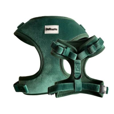 Silky Emerald harness - Stock