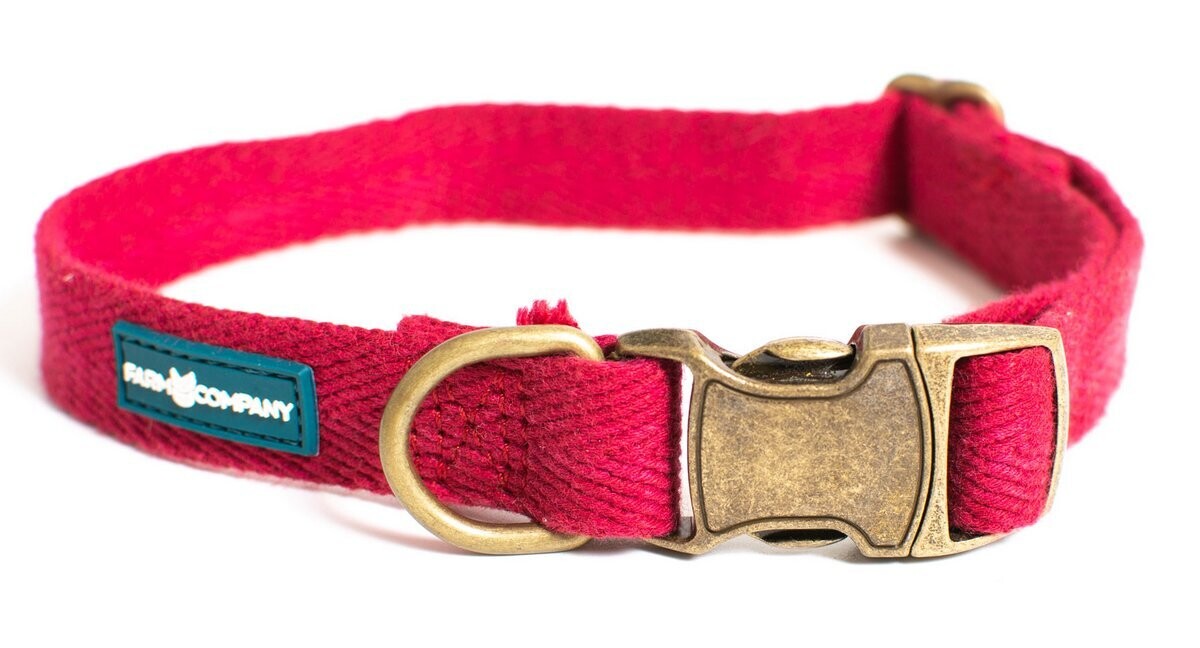 Eco-friendly adjustable collar 3 pieces - Red - Stock