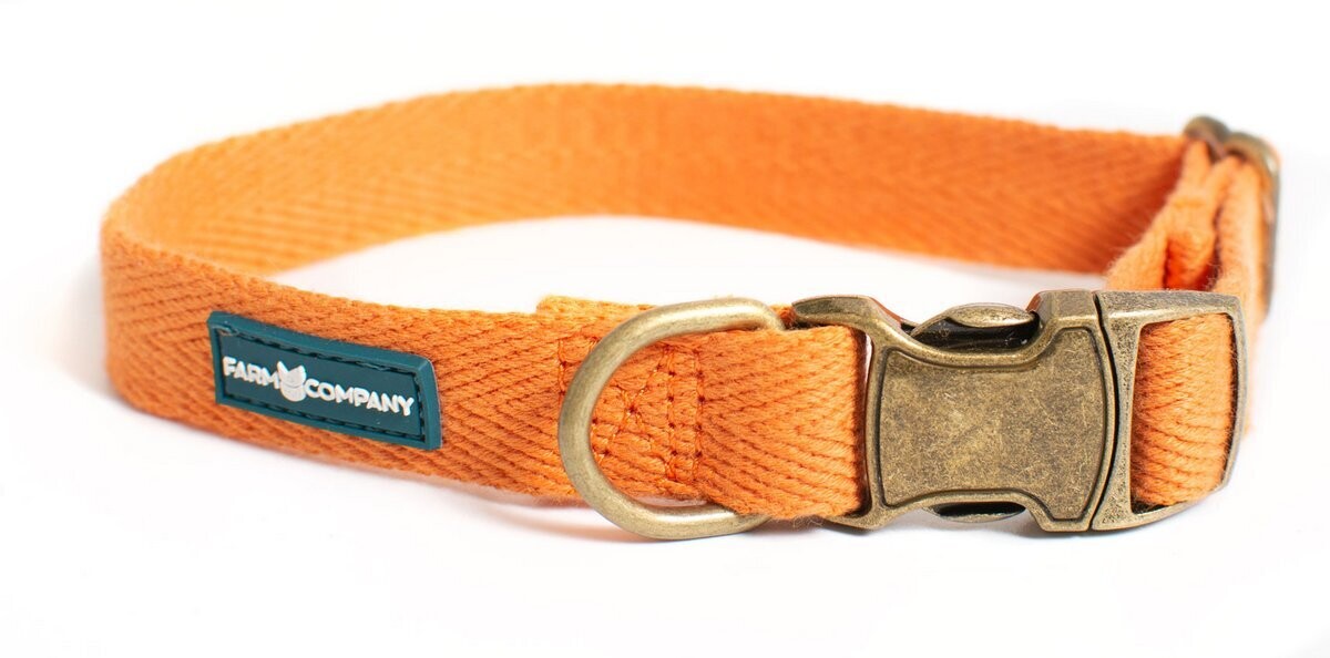 Eco-friendly adjustable collar 3 pieces - Orange - Stock