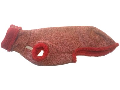 Pull Teddy for greyhounds - red - Stock