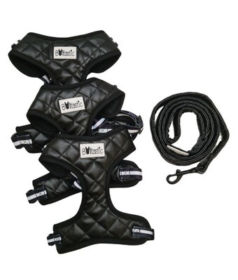 Pakket Black Paris Harness + Leash - Stock
