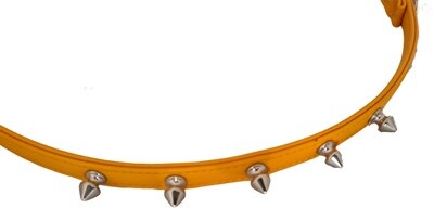 Lione killer Leash Trilly 20 orange - Stock