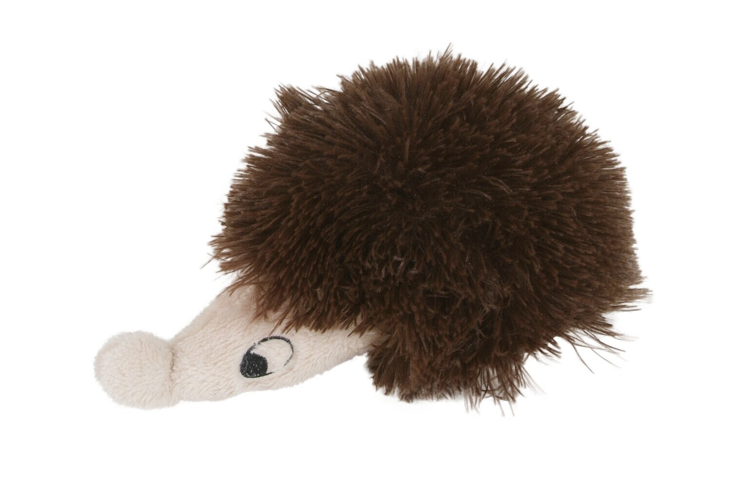 Hedgehog