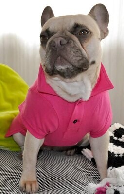 Polo one Bulldog fuchsia