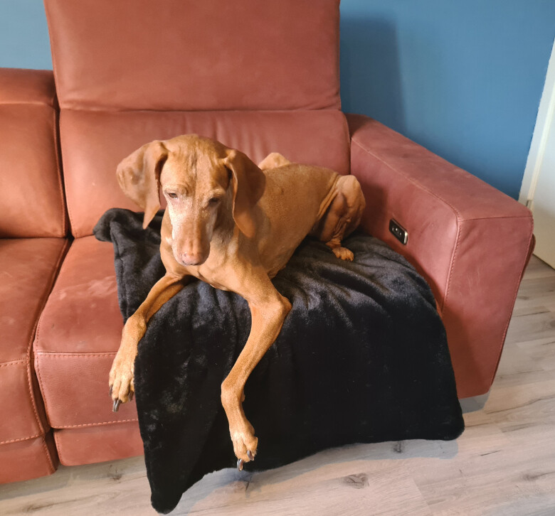 CozZzie Luxe (Deken) Nergal CozZzie Luxe (Deken) Nergal