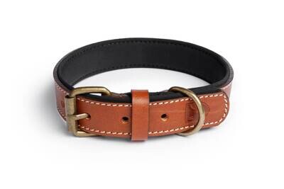 Neo Collar Bruin