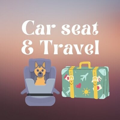 Carseat for dogs + Travel