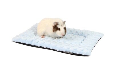 Cushion for rodents