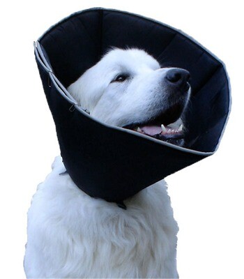 Beschermende halsband voor honden