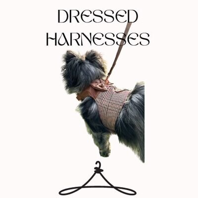 Clothing Harness