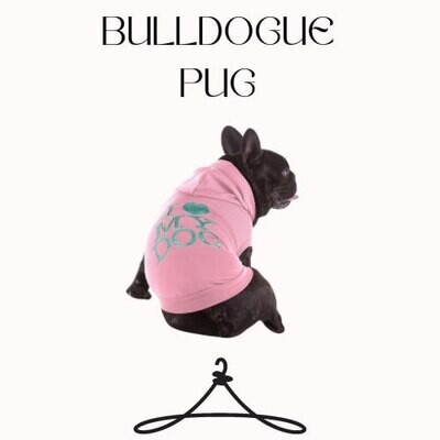 Bulldog/Pug