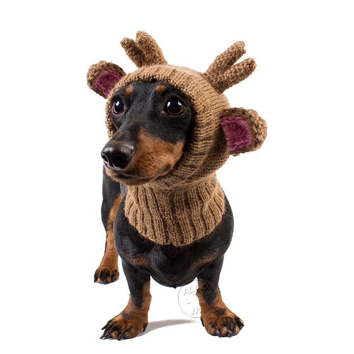 Rendier - Sjaal Rendier - Sjaal