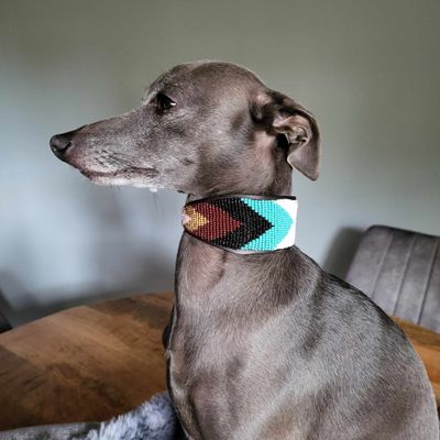 Gotcha Il Mio Collar