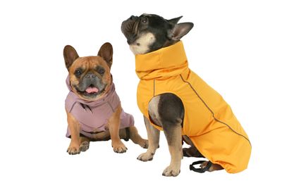 Raincoat Cloudy