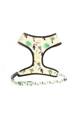 Tropical harnas + Leash