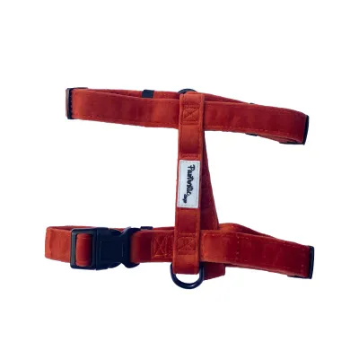 Terracota Velvet Harnas - M + Leash
