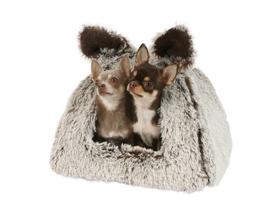 Igloo Fido