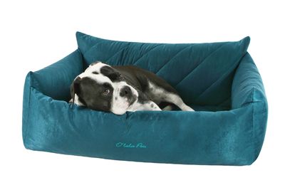 Couch Platinum