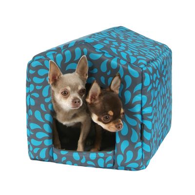 Dog House Economy