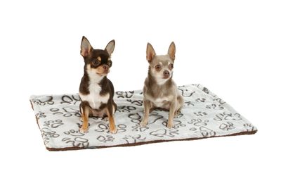 Travel Blanket Persian