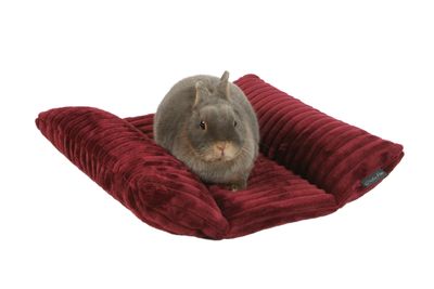 Cushion for Rodents Bob