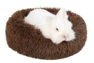 Terezie for Rodents
