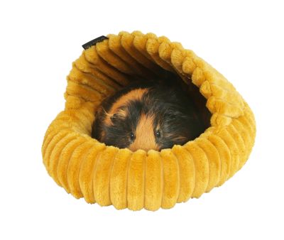 Slipper Bed for Rodents Stripe