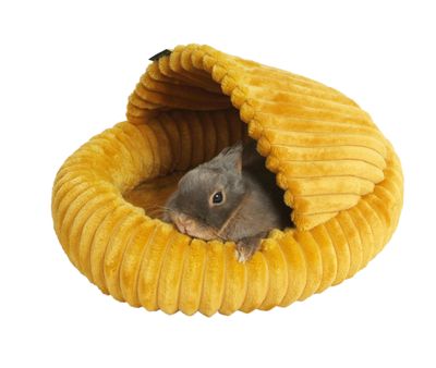 Slipper Bed for Rodents Stripe